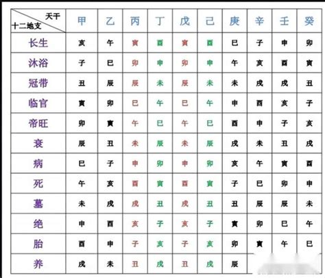 地支屬性|12地支